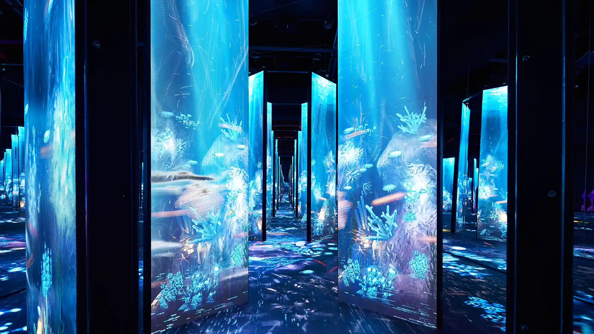 Bubbleworld Los Angeles